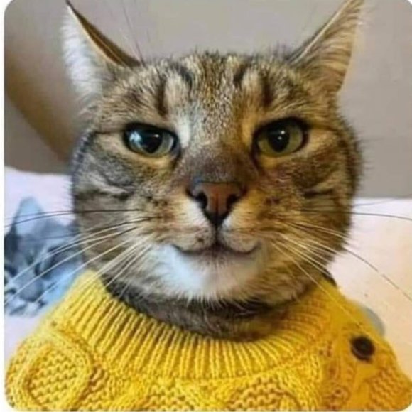 Meet your Posher, Aries - Picture 15 of 16